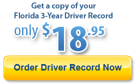 Florida Driver Record