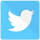 Twitter Logo